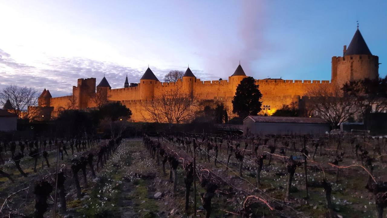 Domaine Fontgrande Gite Каркассонн Екстер'єр фото